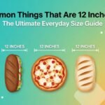 14 Common Things That Are 12 Inches Long (The Ultimate Everyday Size Guide)