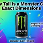 How Tall Is a Monster Can? Exact Dimensions