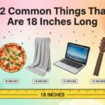 image on this title 12 Common Things That Are 18 Inches Long (A Complete Real-World Size Guide) The image must contain the subject related to title and include their MEASUREMENT The image Create must be simple and attractive and the creative background mu