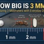 how big is 3 mm