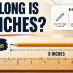 _ how long is 8 inches