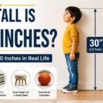 how tall is 30 inches