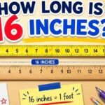 how long is 16 inches